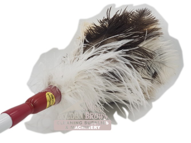 genuine feather duster